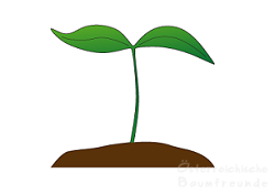 Symbol junge Pflanze