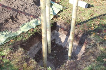 Baumpflanzung 900 Jahre Gramatneusiedl