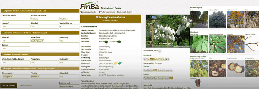 Screenshot FinBa